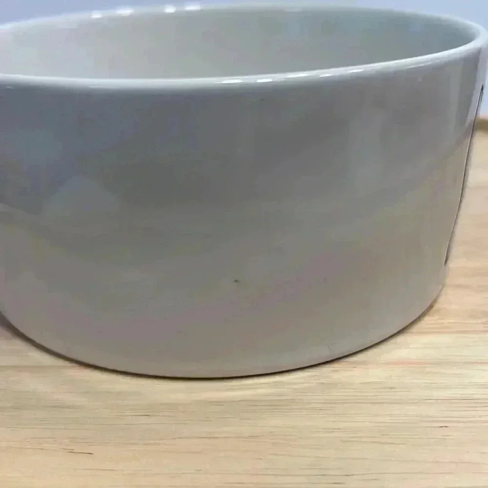 Rae Dunn DRINK UP‎ Dog Bowl